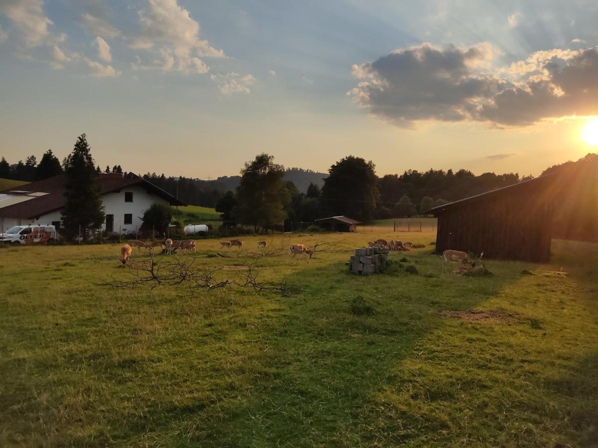 Pension Bachlhof Fursteneck Экстерьер фото